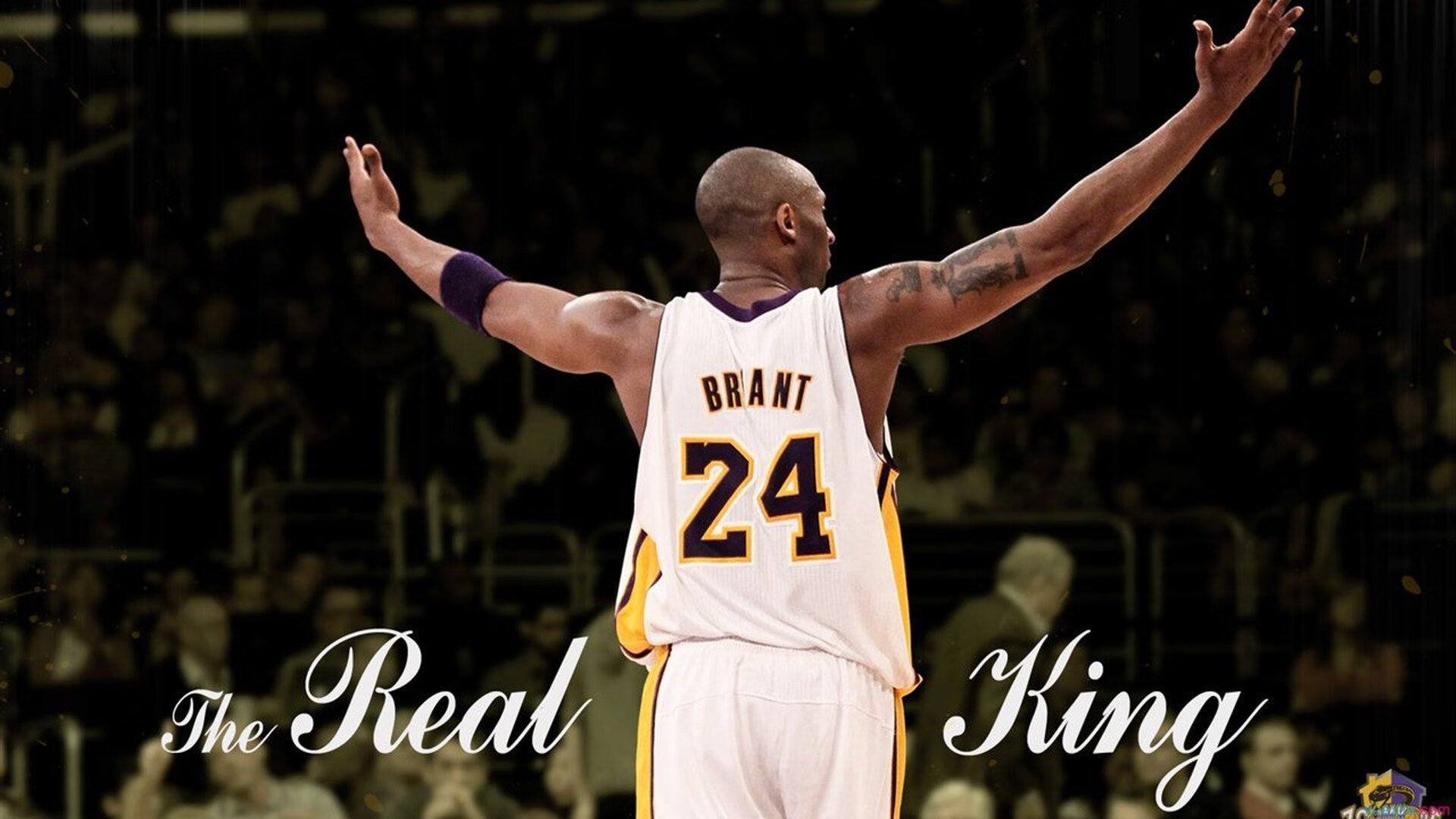 “马丁·高尔西如何塑造阿根廷美洲狮队的强大防守”